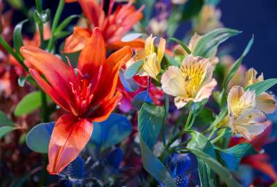 epah-diplomfeier-2025-004