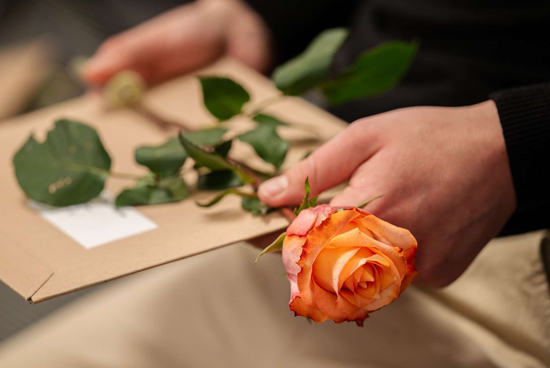 epah-diplomfeier-2025-226